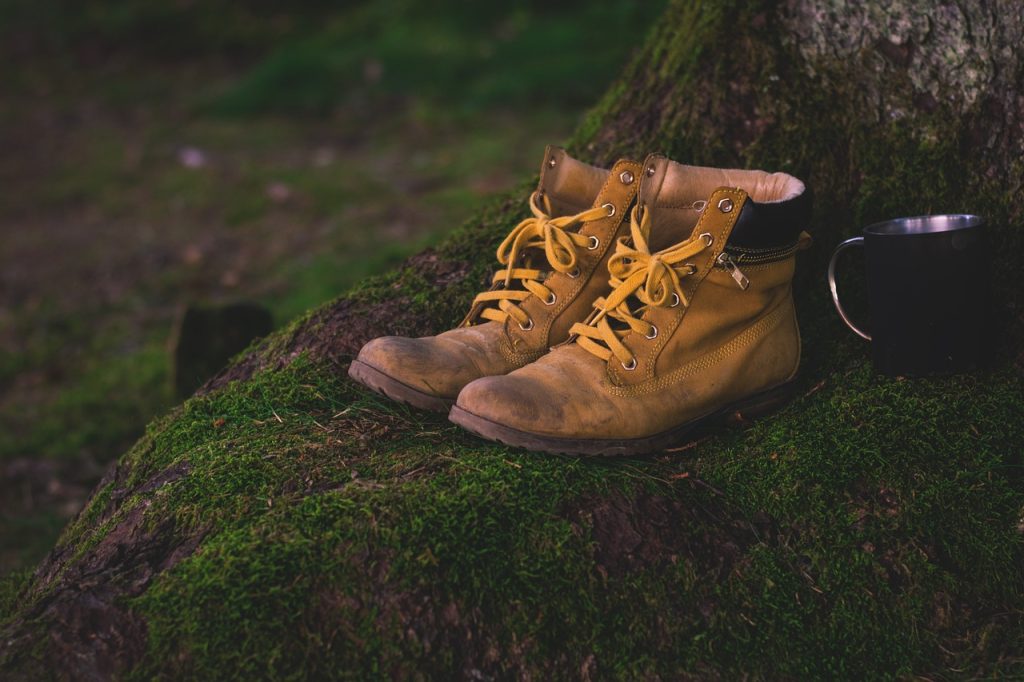 Hiking Shoes