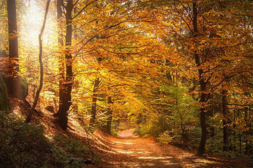 hiking areas in Germany