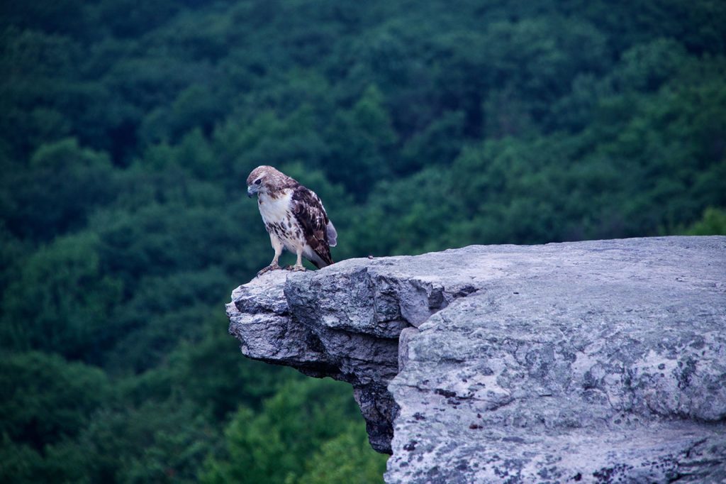 Hiking Around New York