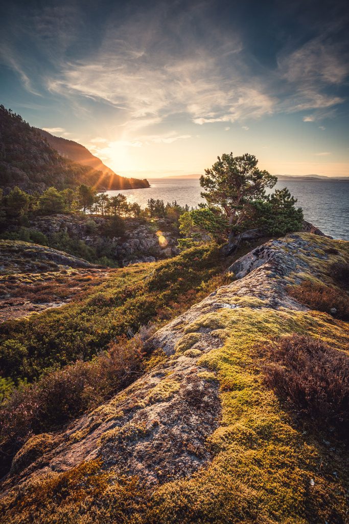 Hiking in Trondheim